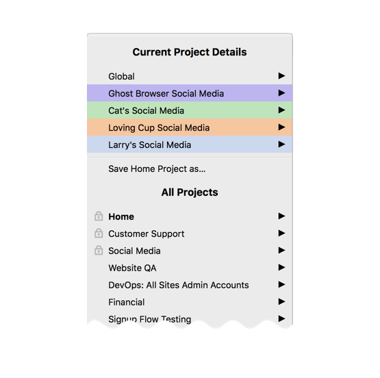 Ghost Browser Projects Keep You Organized